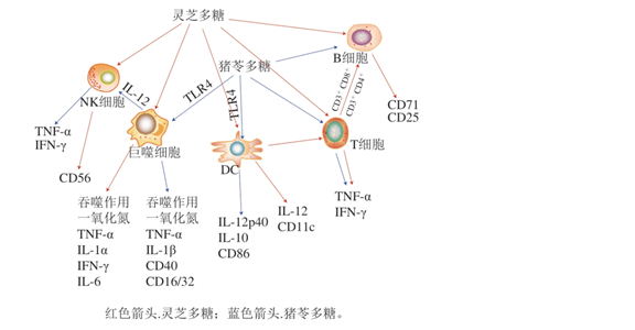 圖片關鍵詞